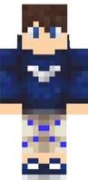 Skin no catálogo de aruan